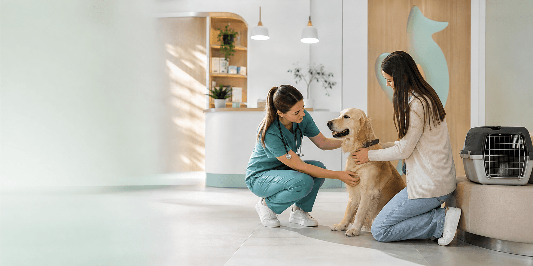 Semne care cer un consult rapid